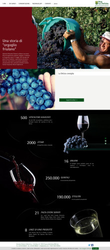 Nuovo-sito-web-Vini-La-Delizia