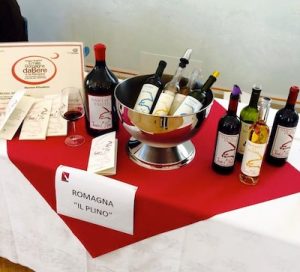 Tenuta Il Plino