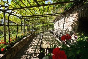 Vigna Castel Trauttmansdorff