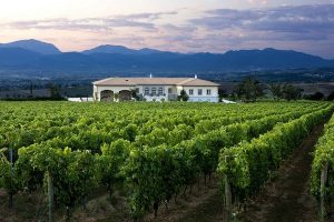 Cantina Lungarotti Turrita di Montefalco