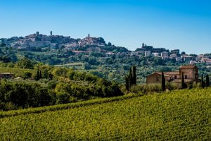Montepulciano vista vigneti