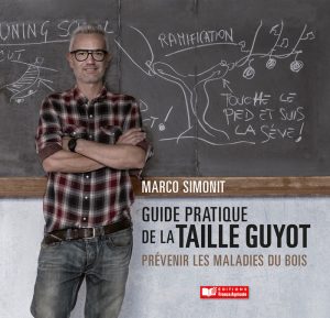 TAILLE GUILLOT copertina TAILLE GUILLOT copertina