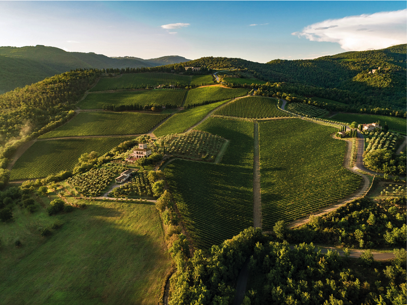 Castello di Albola
