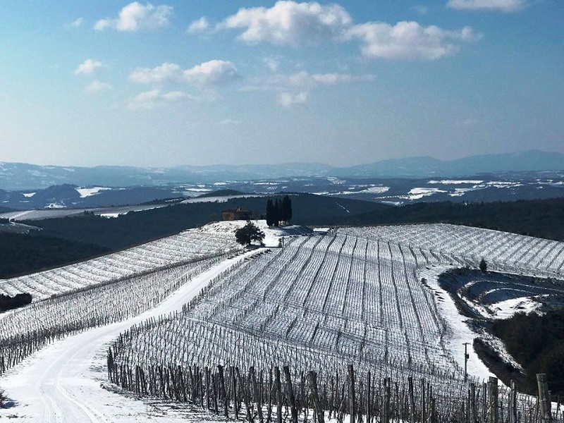 Vigna Innevata