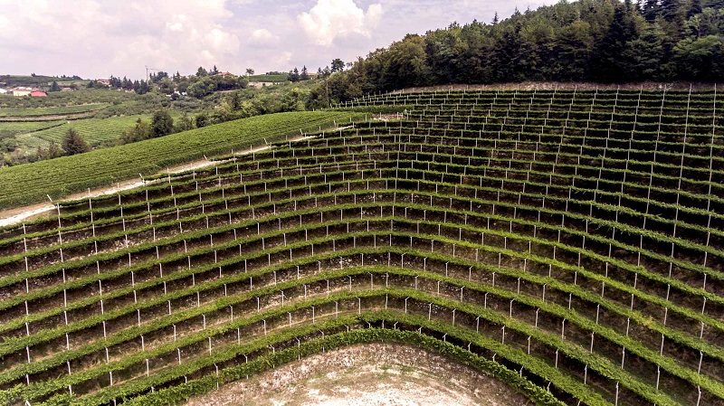 Tedeschi
