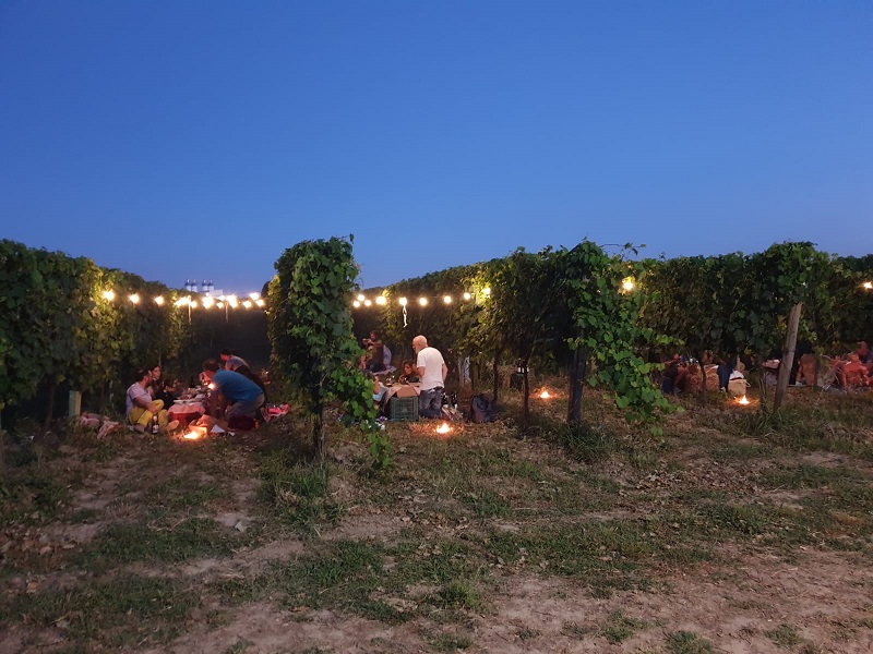 non-è-il-solito-picnic