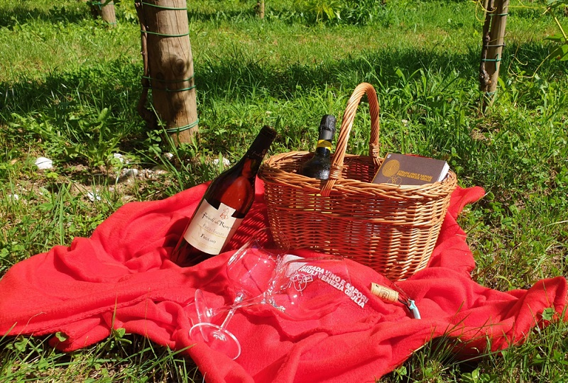 picnic-in-vigna