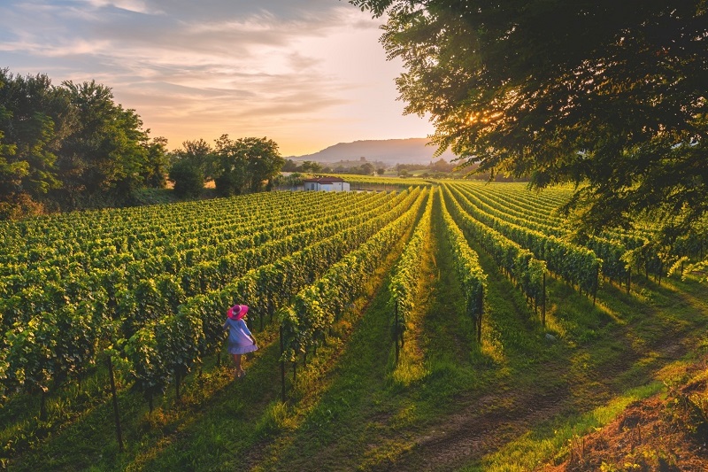 Franciacorta