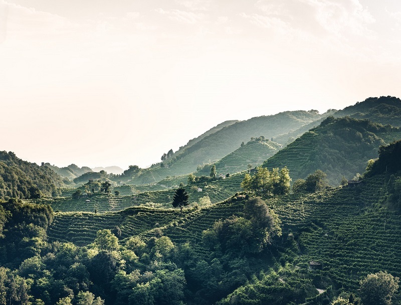 Associazione-Colline