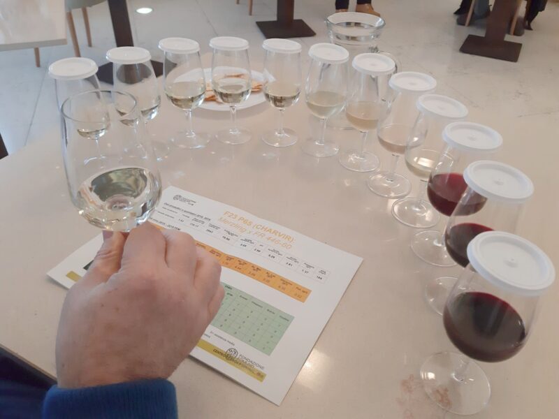 degustazione-varieta-tolleranti-FEM
