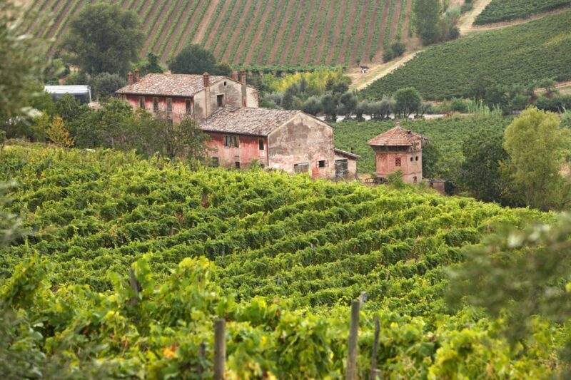 enoteca-regionale-emilia-romagna