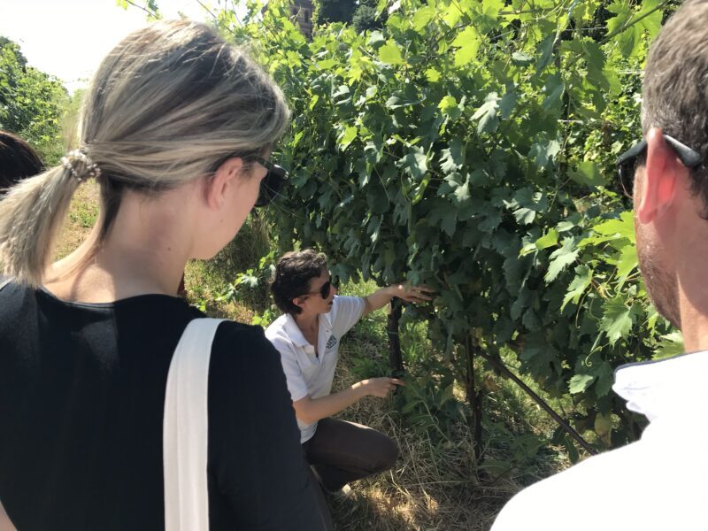 Seminario-Veronelli-Formazione-Tecnica