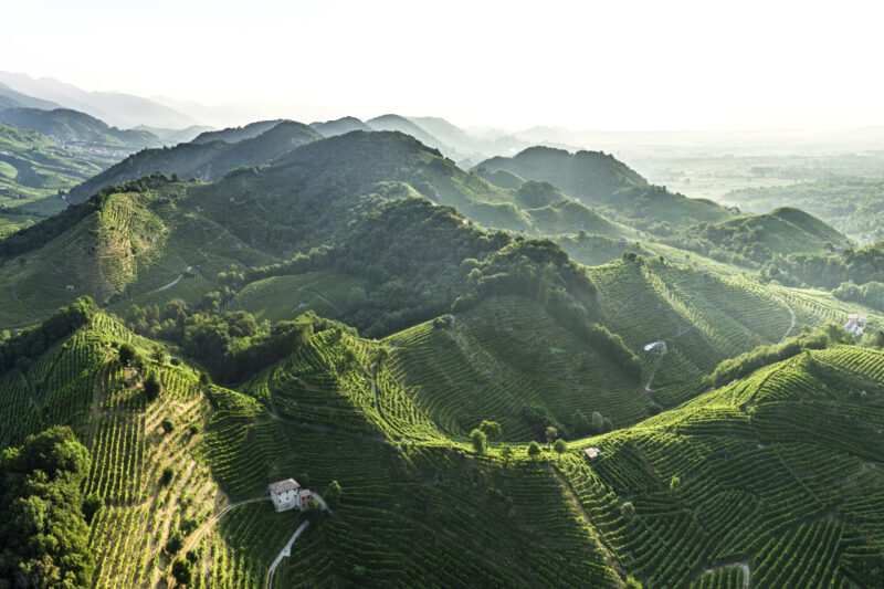 Paesaggio-del-Conegliano-Valdobbiadene-Prosecco-Superiore-DOCG