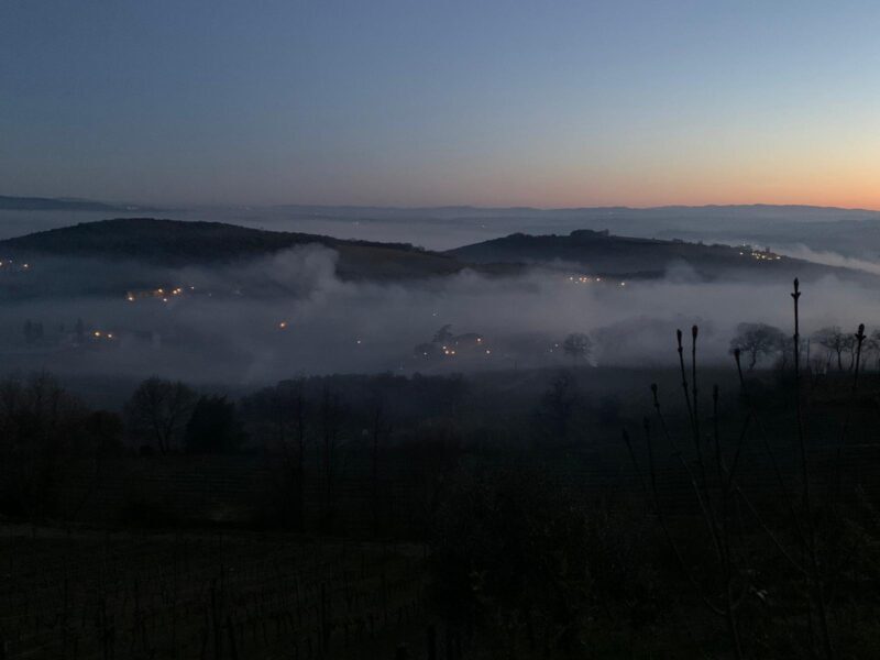 Consorzio-del-vino-Brunello-di-Montalcino