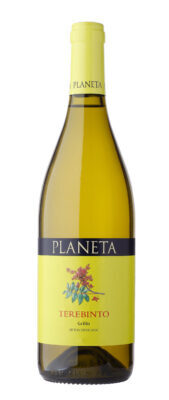 Planeta-Terebinto