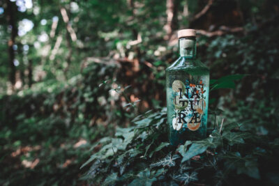 Naturæ-Gin-Bottiglia-tra-l'edera