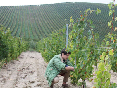 Maximilian-Girardi-in-vigna