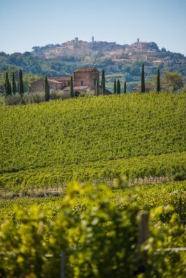 Vino-Nobile-di-Montepulciano