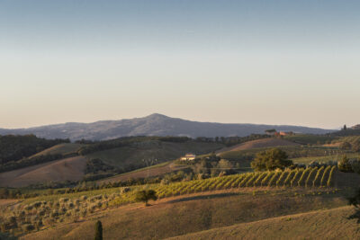 Consorzio-Montecucco