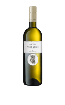 Pinot-Grigio-Dolomiti