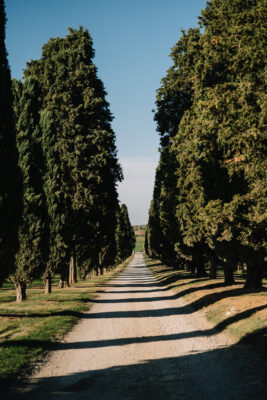 venturini-baldini