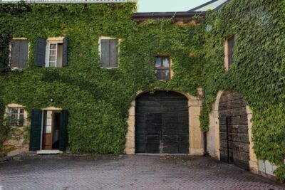 Tenuta-Villa-Bellini