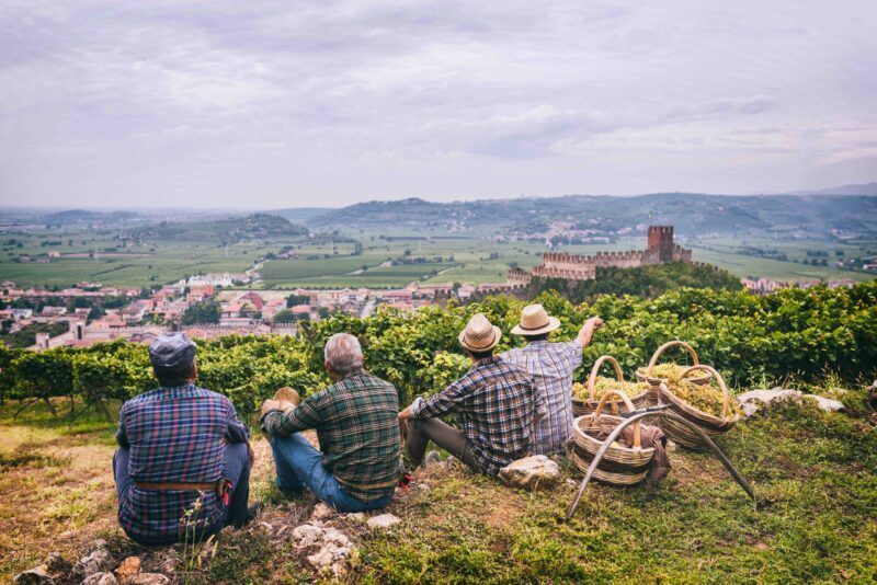 soave