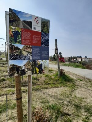 Cascina-Castlèt