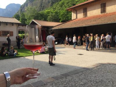 Strada-Vino-Sapori-Trentino