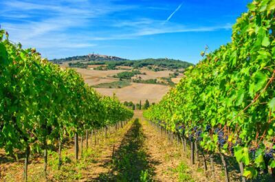 vigna-pienza