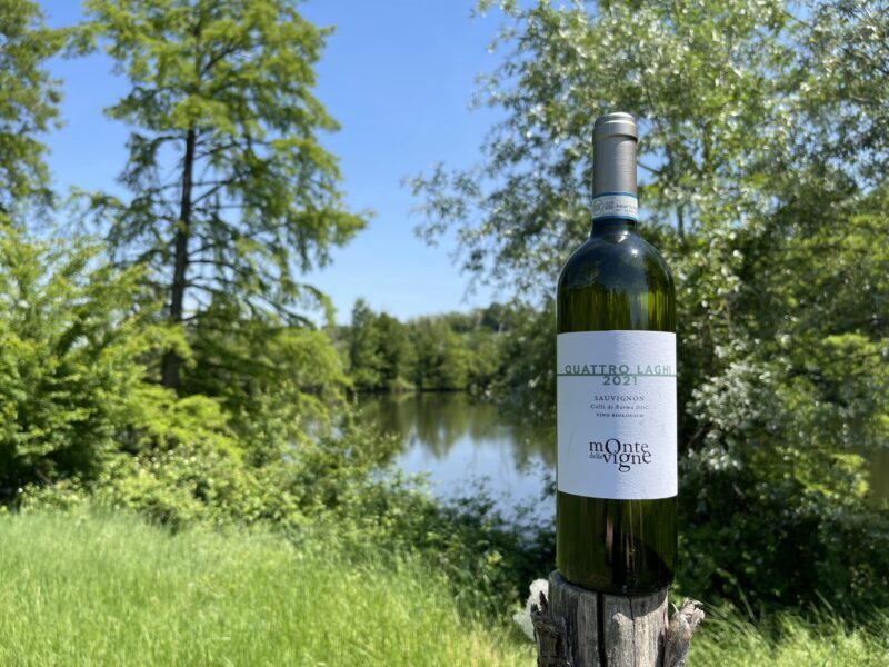 MDV-Sauvignon
