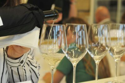 concorso-vini