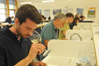 concorso-vini