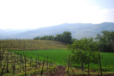Cantina-di-Vicobarone