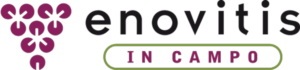 enovitis