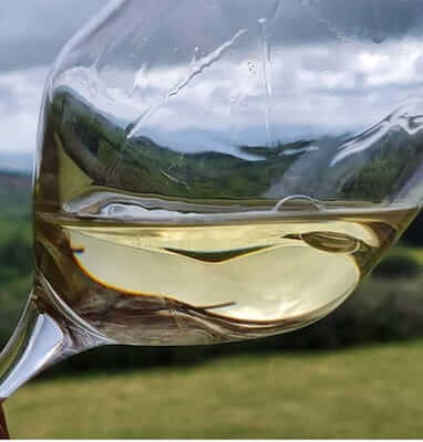 vignaioli-in-maremma