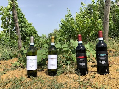vini-della-prosa