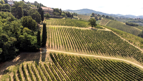 tenuta-mazzolino