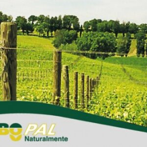 Stebo Agraria Pali In Legno Pino Silvestre Nordico Stebopal Indexwine 74d7be9b