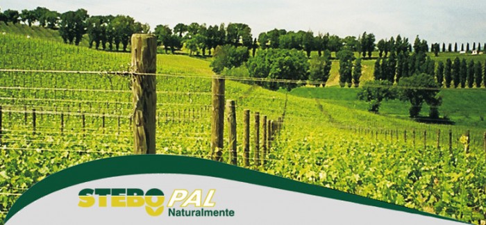 Stebo Agraria Pali In Legno Pino Silvestre Nordico Stebopal Indexwine 74d7be9b Stebo Agraria Pali In Legno Pino Silvestre Nordico Stebopal Indexwine 74d7be9b