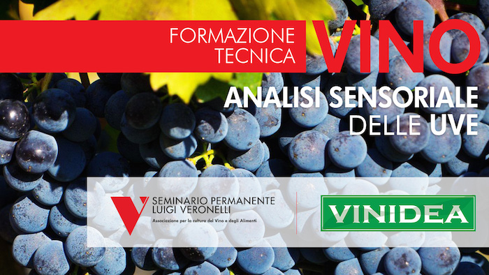 Analisi sensoriale delle Uve con Seminario Veronelli e Vinidea - Il 12 settembre a Villa d'Almè (BG)