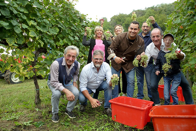 080919 Vendemmia Solidale Da Sx In Basso Angelo Righetti Ernesto Balbinot Andrea Ciccolella Luca Zaia Sammy Basso Da Sx In Alto Silvana Ceschin Sibylle Righetti E Maurizio Gelati
