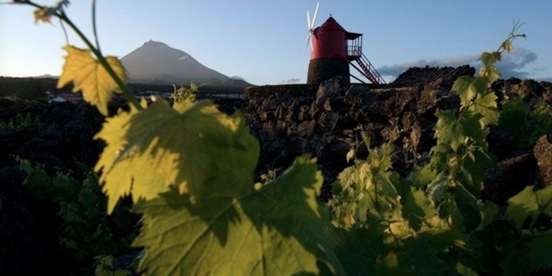 21 08 2019 Portogallo Wine Destination 1