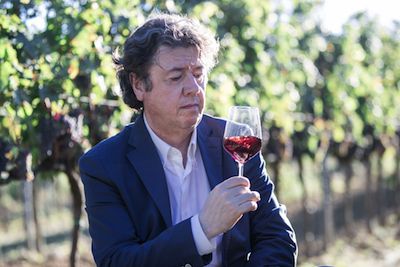 Adriano Annovi Direttore Commerciale Schenk Italian Wineries