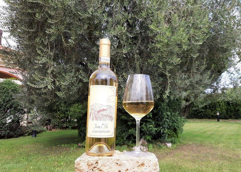 Alba Di Plino 2017 Tenuta Il Plino