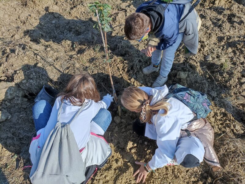 Alberi Non Parole 2021 1 E1637324365712