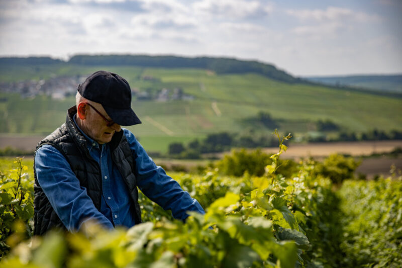 Alberto Vendemmia E1644935679219