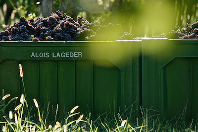 Alois Lageder Vendemmia 2018
