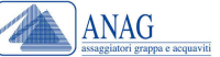 Anag Logo1 E1430382864275