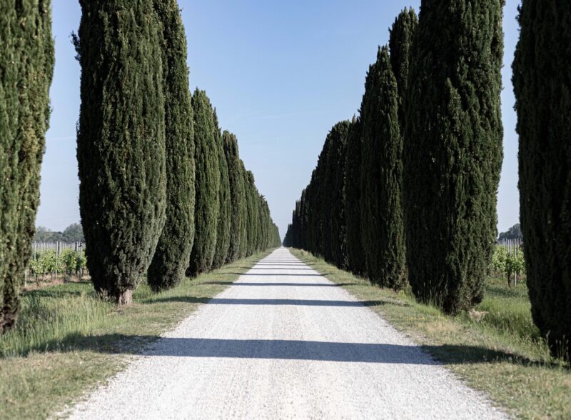 Ca Bolani Enovitis E1654249121389